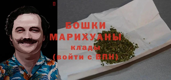 ГАЛЛЮЦИНОГЕННЫЕ ГРИБЫ Бронницы