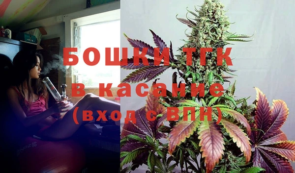 стафф Бородино