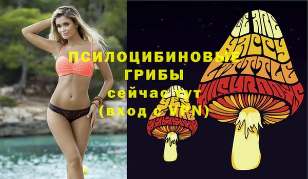 стафф Бородино