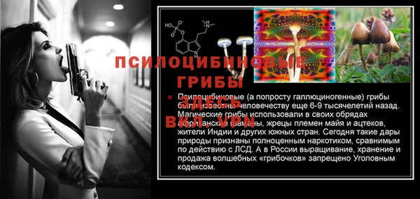 ГАЛЛЮЦИНОГЕННЫЕ ГРИБЫ Бронницы