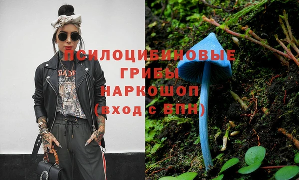 СК Богданович