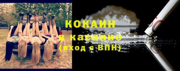 стафф Бородино
