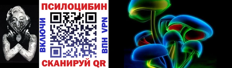 MEGA ССЫЛКА  Гатчина  Псилоцибиновые грибы Magic Shrooms 