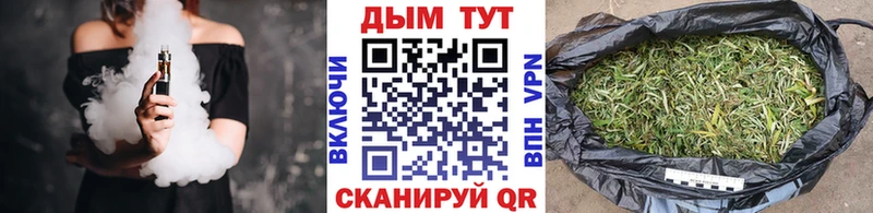Бошки Шишки VHQ  Гатчина 